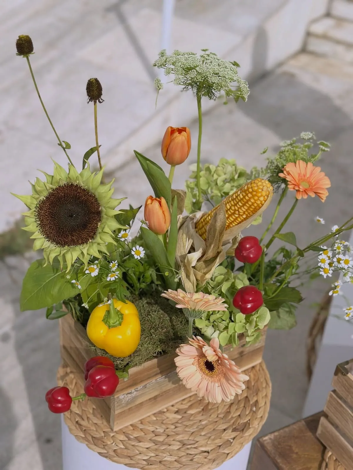 Harvest Bloom