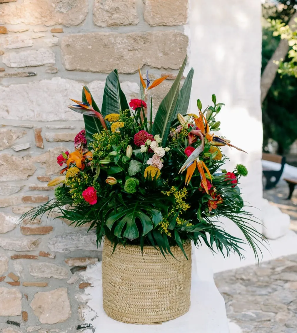Tropical Arrangement
