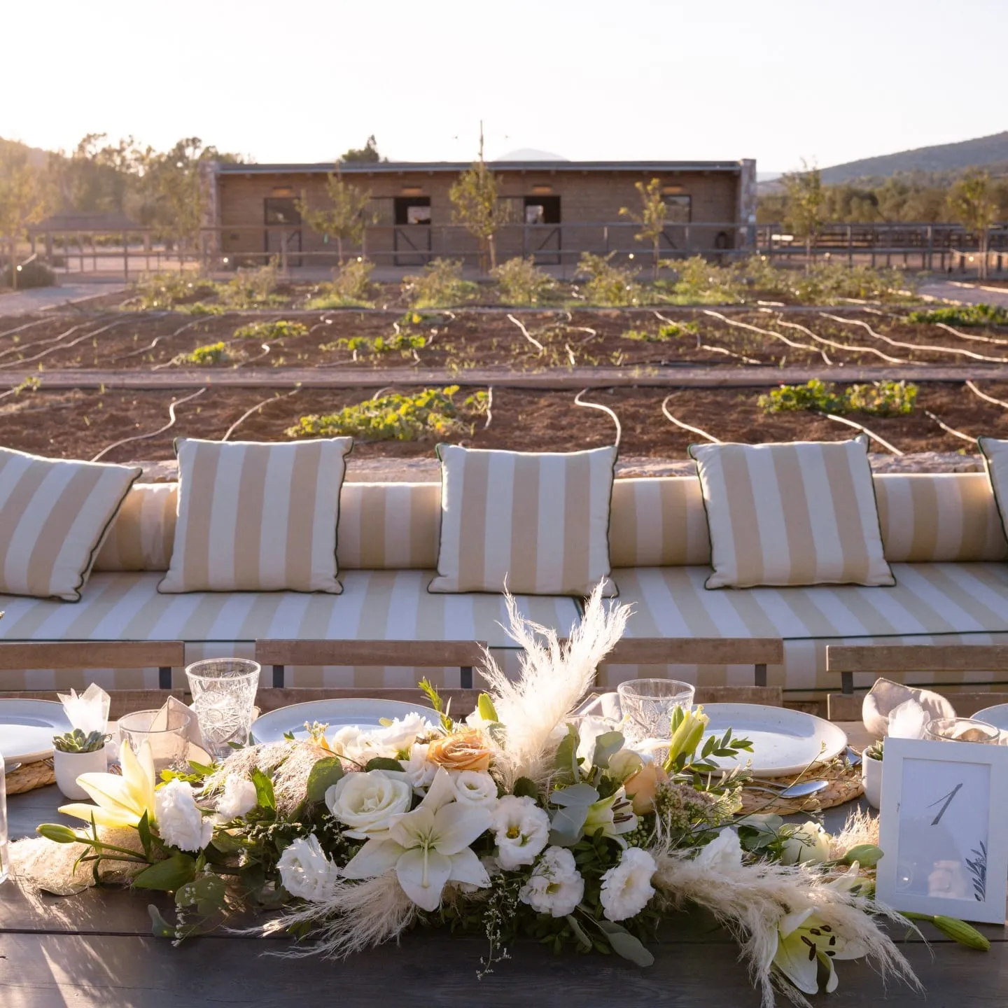 A styled lounge tablescape with pampas and soft neutral tones